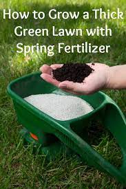 How To Grow A Thick Green Lawn With Spring Fertilizer Planitdiy Lawn Care Tips Green Lawn Lawn Care