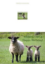 Funny Birthday Card Sheep Birthday Card Ewe Lamb Etsy Funny Birthday Cards Happy Birthday Greeting Card Happy Birthday Greetings