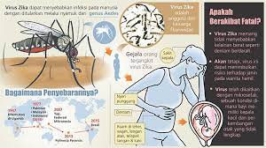 Minggu lepas, suami saya dimasukkan ke hospital kerana demam denggi berdarah. Warga Patut Waspadai Virus Zika Dprdkedirikab Go Id