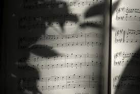 I have taken various beginner's courses, but found most of them going straight into 'complicated' things. The 4 Best Music Theory Books Reviews 2021