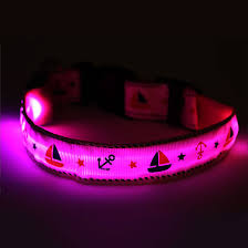 Nautical Led Light Up Dog Collar Rechargeable Flashion Statement