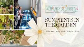 Sun Prints in the Garden — The Ten Acre Garden