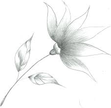 We made sure this how to draw a flower tutorial is easy enough that even the most inexperienced and youngest kids can have fun making art for themselves! Drawing Step By Step Simple Flower Pencil Drawing