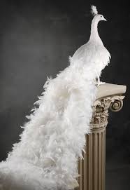Bird With Big Feathers White Artificial Peacock With Curly Feathers 54in White Peacock Large Christmas Decorations Peacock Christmas