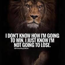 David Narro (@davidnarro) • Instagram photos and videos