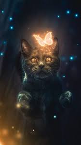 Here you can get the best cool animal wallpapers for your desktop and mobile devices. Animals Wallpapers Free Wallpapers For Iphone Android Desktop Phone