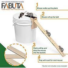 Lighter than the average mouse traps. Fabuta Plank Mouse Trap From Oak Wood Ramp Included Walk The Plank Mouse Trap Auto Reset Humane Bucket Rat Trap Kill O Mouse Trap Mouse Traps Wood Ramp
