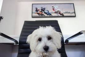 About — Rockwood Development