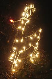 Check spelling or type a new query. Rudolph In Lights Photograph By Allison Kelly