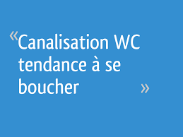 Maybe you would like to learn more about one of these? Canalisation Wc Tendance A Se Boucher 9 Messages
