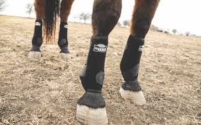 Give Em The Boot Leg Protection Quarter Horse News
