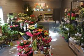 Sélection de fleurs pour votre mariage : L Ile Aux Fleurs Pont L Abbe Votre Fleuriste A Pont L Abbe