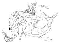 Carcharodon Megalodon A Classification Dilemma Mosasaurus, the aquatic terror of the cretaceous. carcharodon megalodon a classification