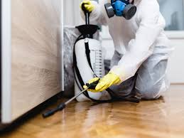 In this article, we'll share the pros and cons of the top termite killers on the market. The 6 Best Pest Control Services Of 2021