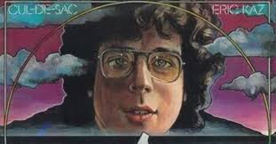 Eric Kaz Cul-de-sac レコード(ジャズ一般)｜売買されたオークション情報、yahooの