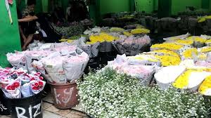 Jl.musyawarah rt 006 rw 009 pusat promosi bunga rawa belong, jakarta 11530 indonesia. Hasil Panen Bunga Menurun Penjualan Bunga Di Rawa Belong Stabil Warta Kota