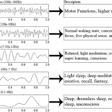Brain Waves Charts Description Download Scientific Diagram