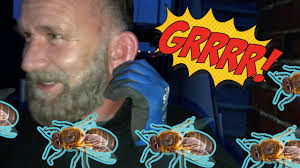 When honeybees attack! Watch as we remove a live colony of bees from a  chimney!