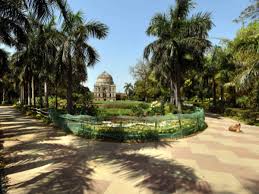 Delhi lockdown guidelines, corona cases in india live updates, maharashtra lockdown 2021 live news, corona vaccination latest update highlights 22:32 (ist) 19. Delhi Lockdown Update Ndmc Opens Parks Gardens For Joggers Delhi News Times Of India