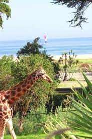 One Weekend In Beautiful Santa Barbara Travelchannel Com Santa Barbara Santa Barbara California Santa Barbara Zoo