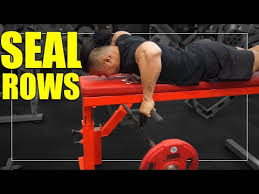 Lower the dumbbells back down. The Best Upper Back Exercies Build Mass Improve Posture Barbend
