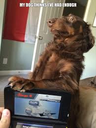 Attack Of The Funny Animals With Captions 24 Pics Funny Animals With Captions Funny Animals Funny Animal Pictures