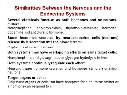 The Endocrine System Chapter 17 Lecture 14 The
