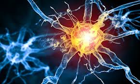 Until you're able to walk independently, taking blood thinners and. A Z Of Syndromes Guillain Barre Syndrome Rcni