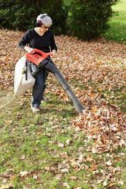Best Leaf Vacuum For Yards And Gardens Homegardentools Small Garden Tools Best Garden Tools Garden Tools Diy