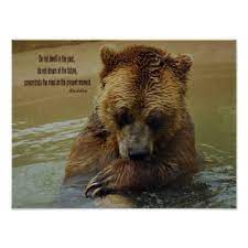Sachin jain # 13 in bear quotes. Grizzly Bear Inspirational Quotes Quotesgram