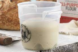 Stiff Sourdough Starter King Arthur Baking Sourdough Starter Made With Double The Usual Amount O In 2021 Sourdough Starter Recipe Sourdough Starter Starters Recipes