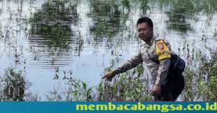 Contact jasa perakitan baja ringan pati on messenger. Hendak Mencari Kangkung Warga Srikaton Kayen Ditemukan Tenggelam Di Rawa Membacabangsa Co Id