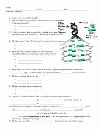 Dna Structure Worksheet Answer Key Inspirational Dna Structure Worksheet In 2020 Worksheets Persuasive Writing Prompts Worksheet Template