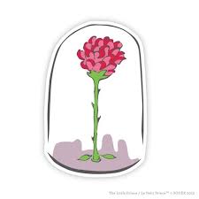 Le petit prince has delicate mauve flowers with pink undertones. Pin On Quotes