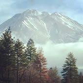 Black Bear Diner Mt Shasta City Mt Shasta City Places To Go Mount Shasta City