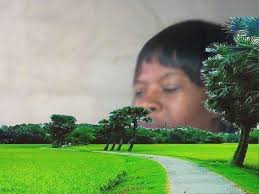 Mari yaunobhadhara kwaSabhuku ndeyeyi sabhuku vanoishandisei. Inoendeswa  somewhere here kana kuti inoshandiswa naSabhuku. Plus zviripamutemo here.  Vanhu kudhara vaiita sei. Ndikungobvunzawo hangu coz l feel like masabhuku  varikucharger an arm and a