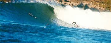 Campeonato Brasileiro de Surf está de volta e a Praia do Rosa está no roteiro! - Hostel Albergue Explorer - Pousada em Praia do Rosa