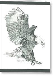Bald Eagle Black And White Drawing Bald Eagle In A Dive By Robert Wilson Eagle Drawing Eagle Sketch Eagle Art