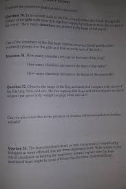 It is a muscular organ with four chambers. The Water How Many Chambers Are Present In The Heart Chegg Com