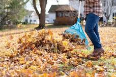 Fall Camp Clean Up Days