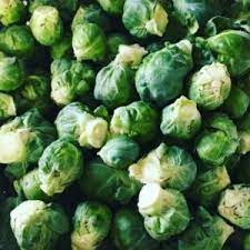 We did not find results for: How To Freeze Brussel Sprouts Creative Homemaking