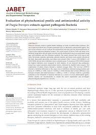 Image result for Tragia brevipes