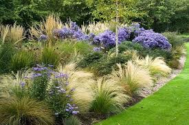 Pin By Jana Zilincikova On Garden Plans Grasses Garden Prairie Garden Landscaping Plants