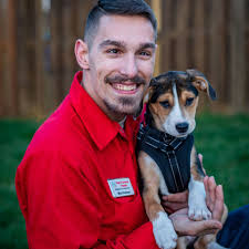 TOP 10 BEST House Sitting in Concord, NC