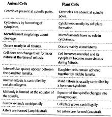 Check spelling or type a new query. Cell Cycle And Cell Division Cbse Notes For Class 11 Biology Cbse Tuts Cellcycleandcelldivisionclass11 Cell Cycle Cell Division Biology Facts