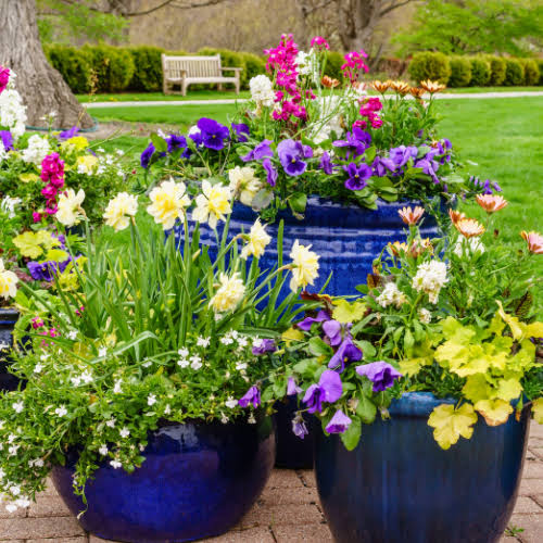 Seasonal Garden Styling Ideas