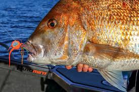 You have to watch the dink float closely as it is not quite as easy to feel like something like the eagle claw or the waggler. What Rigs To Use When Fishing The Fishing Website