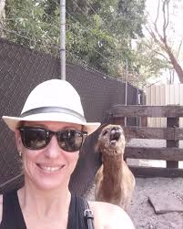 Esses Animais Sao Primos Dos Camelos Mas Sao Menores Peludos E Fofos Alem De Serem Mais Fotogenicos Que Seus Parentes As A Cute Animals Cute Alpaca Animals