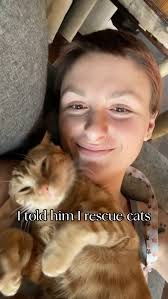 Wait til someone tells him I’m the CEO…, ., ., ., ., ., #Rescuecat #cats  #catlovers #catsofinstagram #adoptdontshop #catsagram #fyp #holyairball  #airball #viral #trending