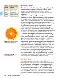 Nutrient Cycles And Energy Flows Through Ecosystems Pages 24 30 Reading Nutrient Cycle Nutrient Energy Flow